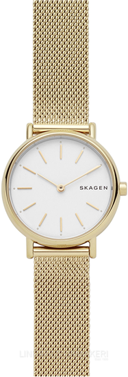Skagen Signatur Lille SKW2693