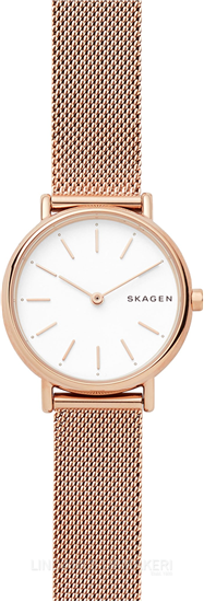 Skagen Signatur SKW2694