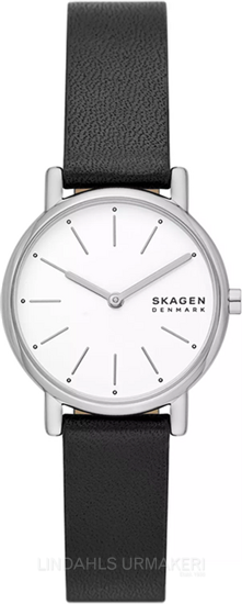 Skagen Signatur Lille SKW3120