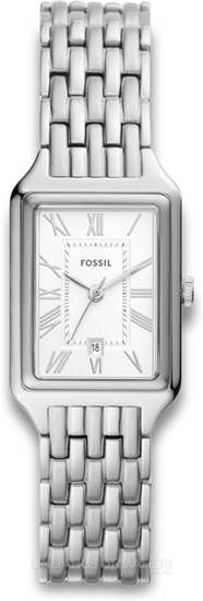 Fossil Raquel ES5221