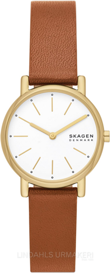 Skagen Signatur Lille SKW3121
